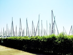 masts